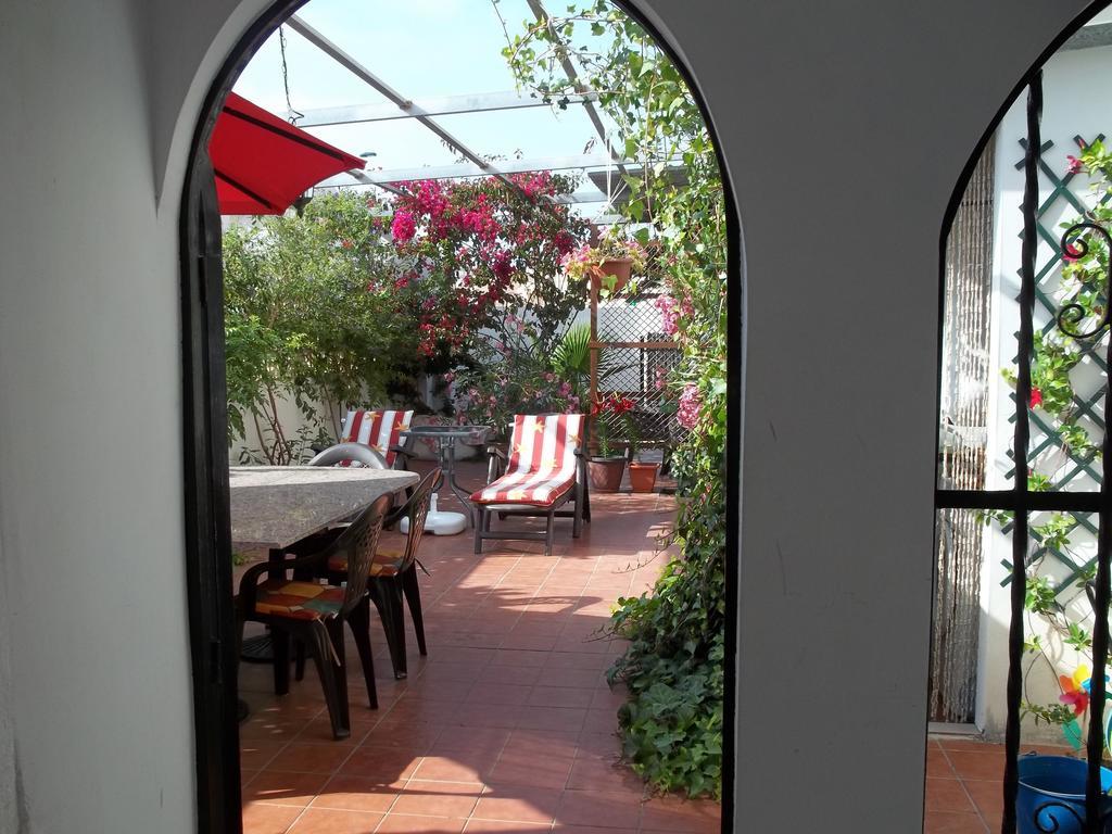 Madamme Curie Apartment Τορεβιέχα Εξωτερικό φωτογραφία
