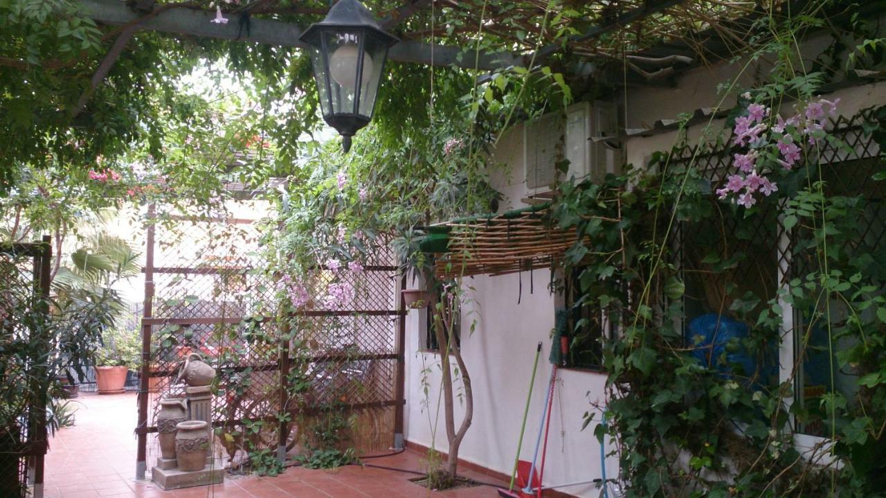 Madamme Curie Apartment Τορεβιέχα Εξωτερικό φωτογραφία